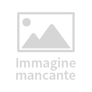 PREORDER) Il Re delle Volpi - Fiore Manni - AUTOGRAFATO - Komorebi -  Fumetteria online