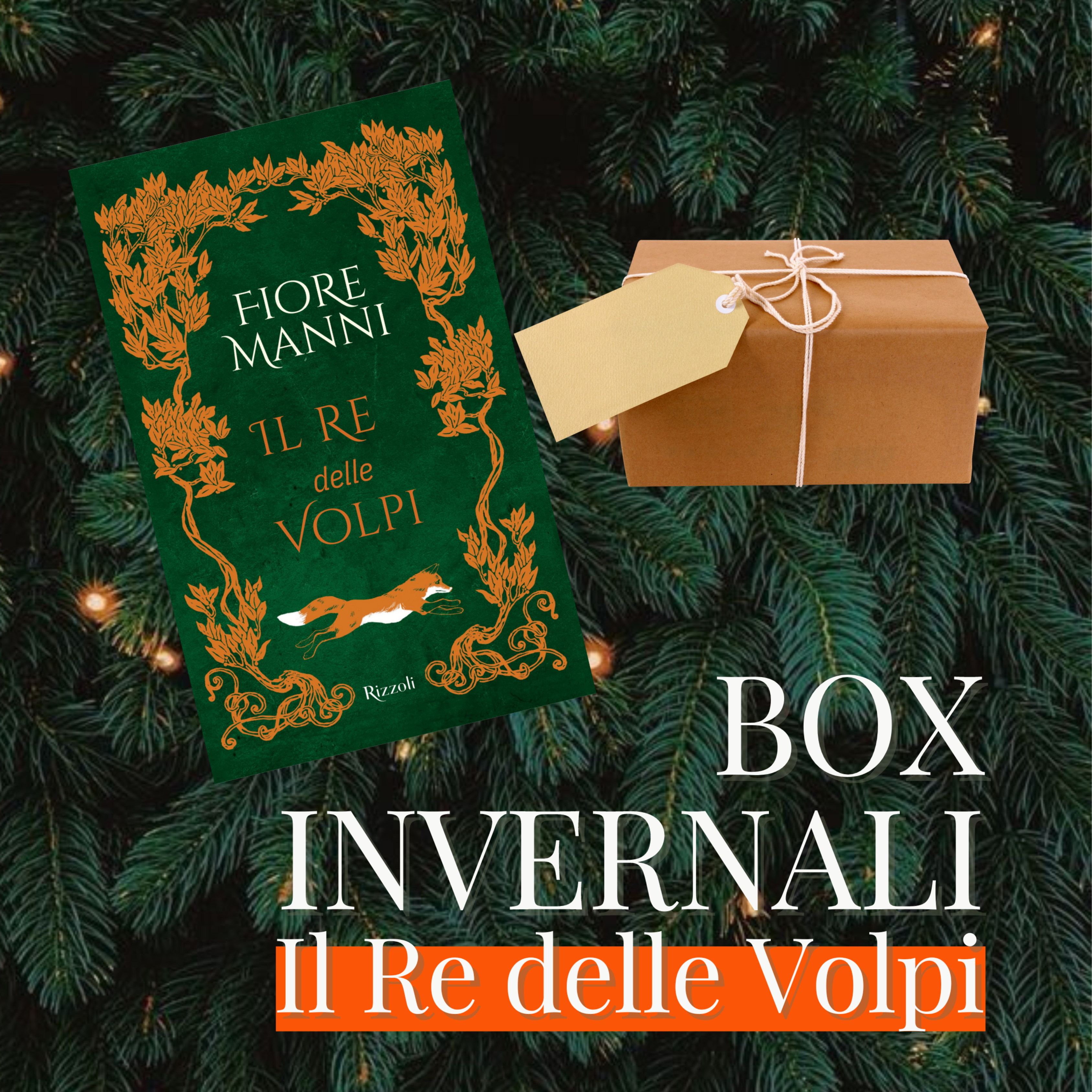 Speciale Box Invernale - Fiore Manni x Komorebi (spedizioni dal 20