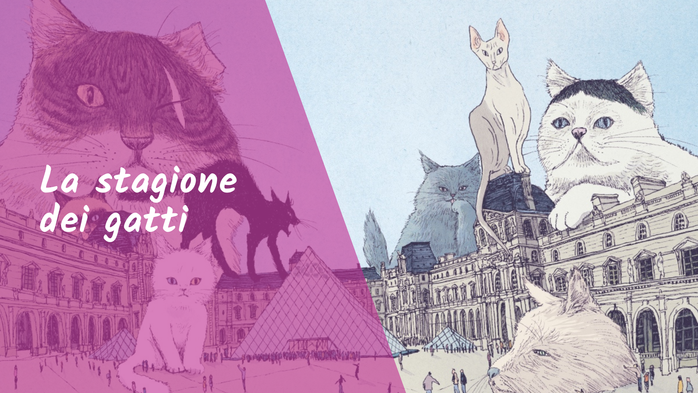 La Stagione dei Gatti